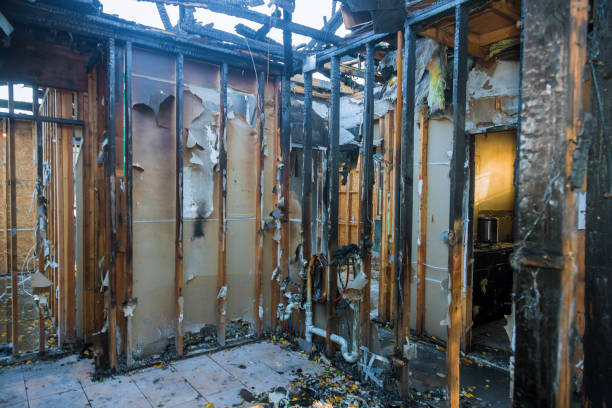 Professional Fire Damage Removal technician working in Laurel, FL