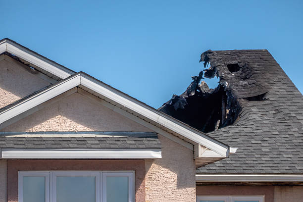 Top rated local Fire Damage Removal specialists in Laurel, FL